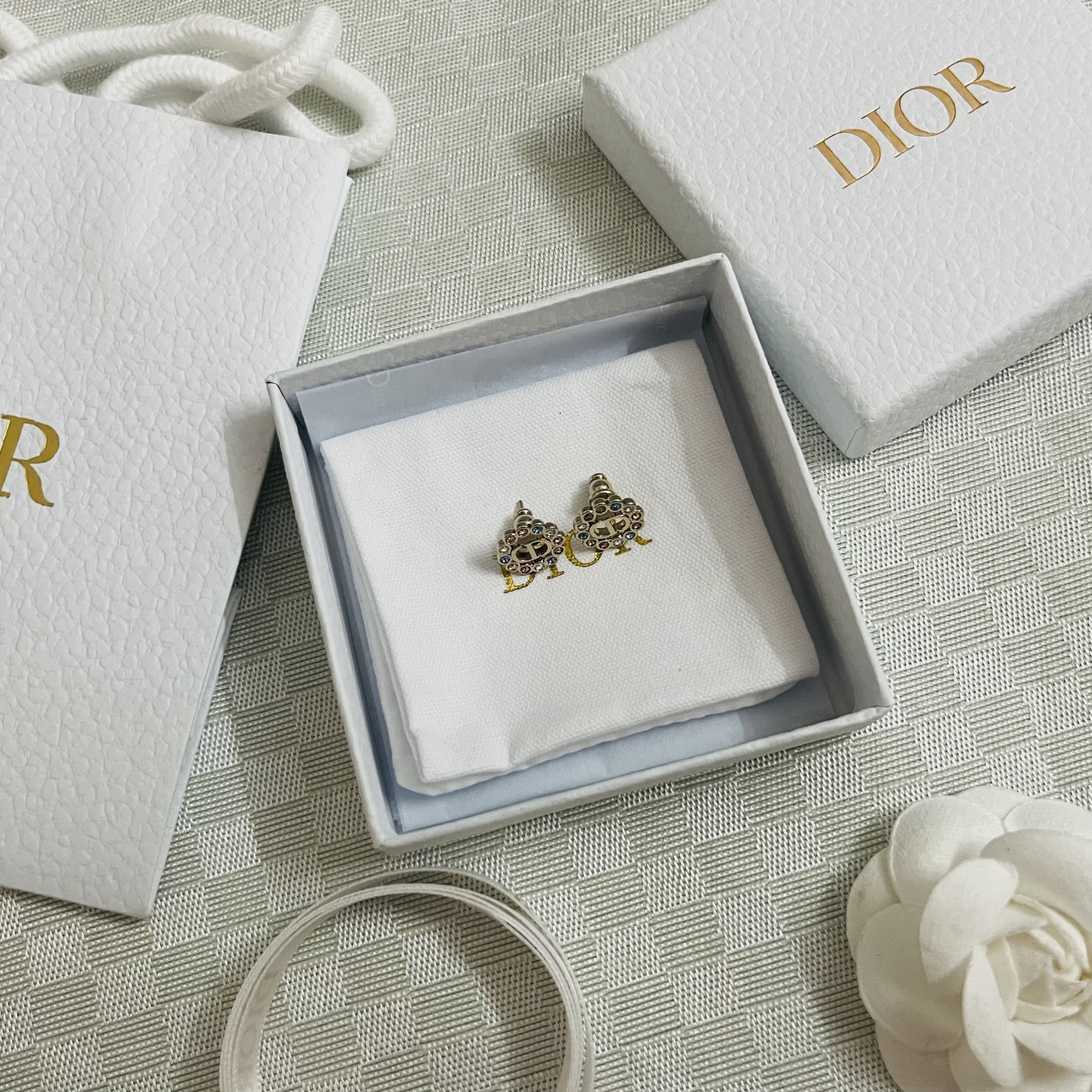 Dior Earrings