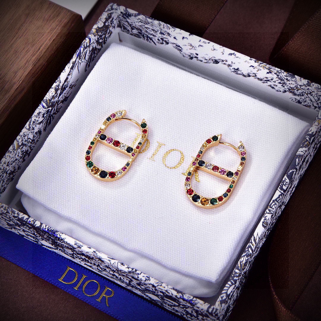 Dior Earrings