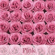 💕Glitter Rose Bouquet💕Couple Glitter Everlasting Rose Bouquet (Never
