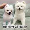 3D Personalised pet photo cushion animal pillow customised custom gift memorial mother day home accessories dog cat lover stuffed plushy-ilovevango