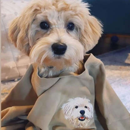 Personalized Pet Portrait Embroidered Sweatshirt T-shirt Hoodie