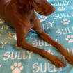 Personalized Paw Print Name Blanket For Pet, Custom Dog Blanket, Plush Blanket, Personalized Puppy Blanket, Dog Bed Blanket, Pet Lover Gift-ilovevango