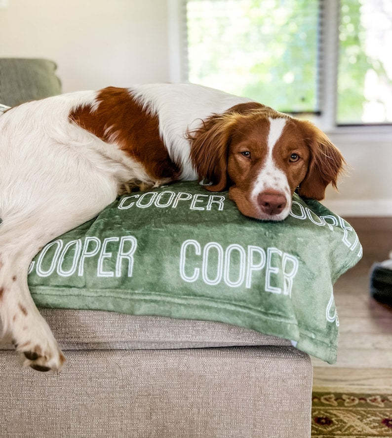 Personalized Blanket For Dog, Dog Blanket, Plush Dog Blanket, Dog Name Blanket, Gift For Dog Lover, Puppy Name Blanket, New Puppy Gift-ilovevango
