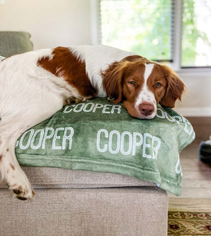 Personalized Blanket For Dog, Dog Blanket, Plush Dog Blanket, Dog Name Blanket, Gift For Dog Lover, Puppy Name Blanket, New Puppy Gift-ilovevango