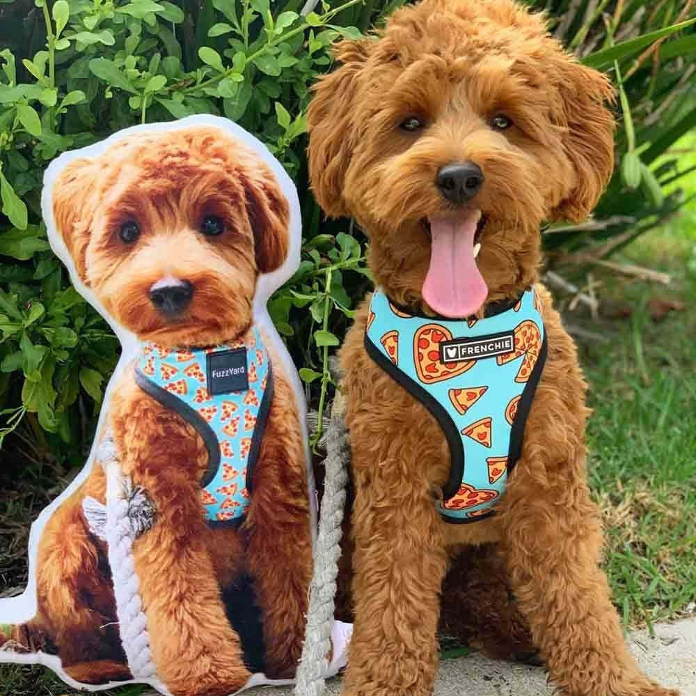 3D Personalised pet photo cushion animal pillow customised custom gift memorial mother day home accessories dog cat lover stuffed plushy-ilovevango