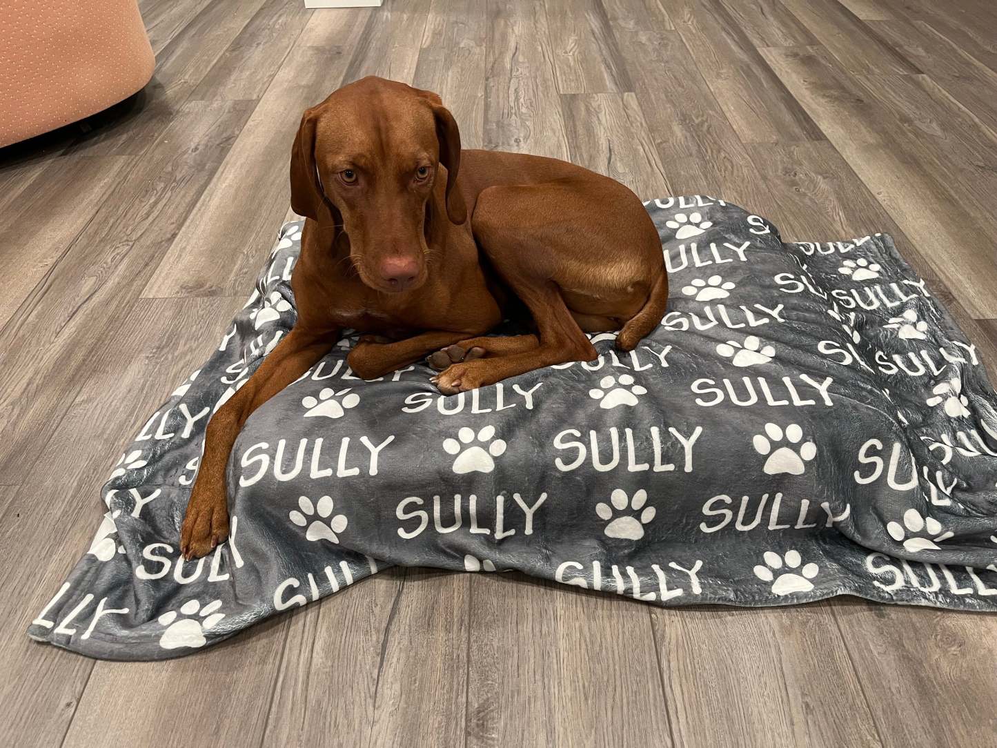 Personalized Pet Blanket | Custom Bedding for Pets | Customized Blankets for Dog and Cats | Blankets for pets-ilovevango