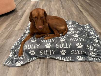 Personalized Pet Blanket | Custom Bedding for Pets | Customized Blankets for Dog and Cats | Blankets for pets-ilovevango