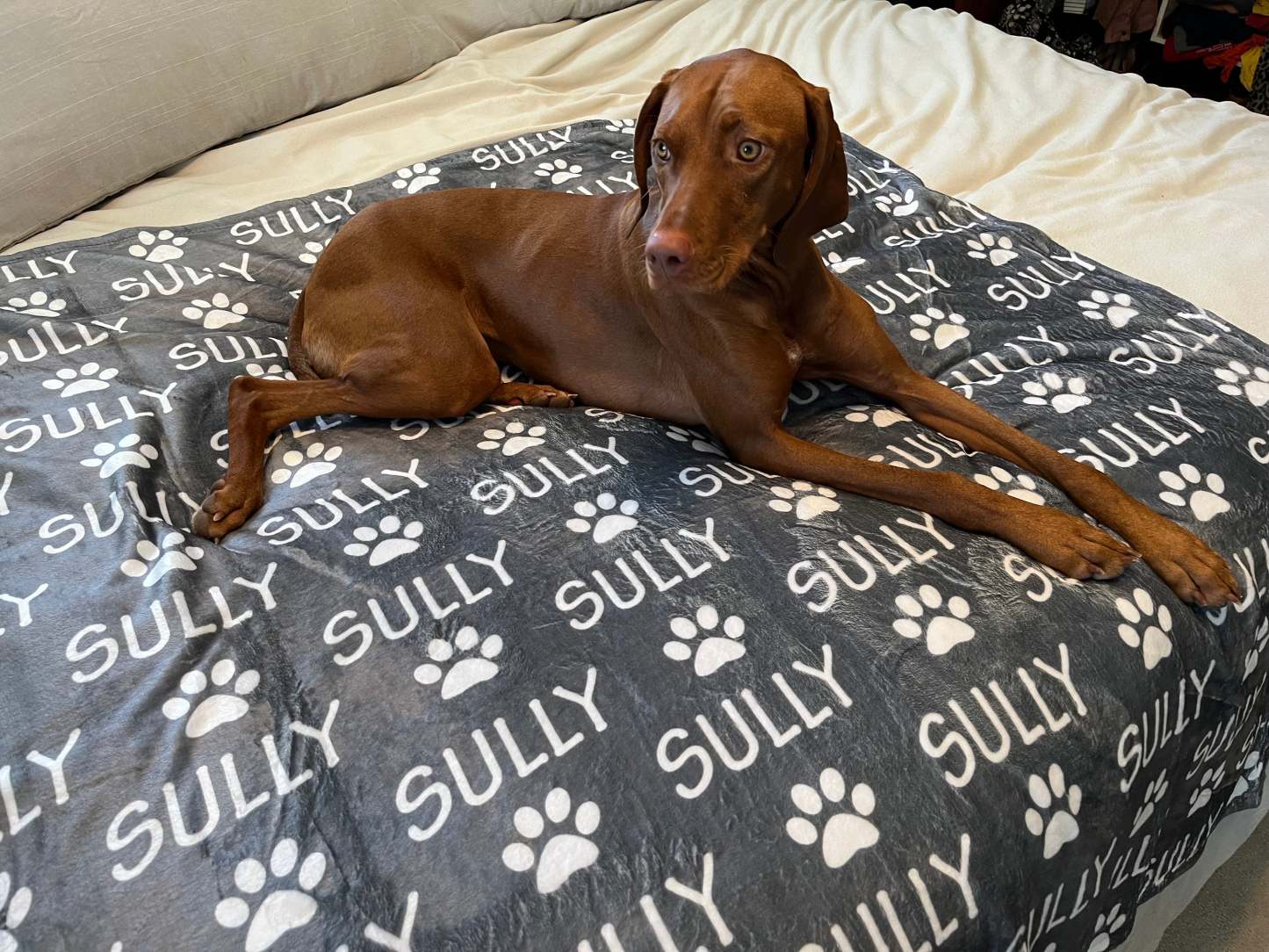 Personalized Pet Blanket | Custom Bedding for Pets | Customized Blankets for Dog and Cats | Blankets for pets-ilovevango