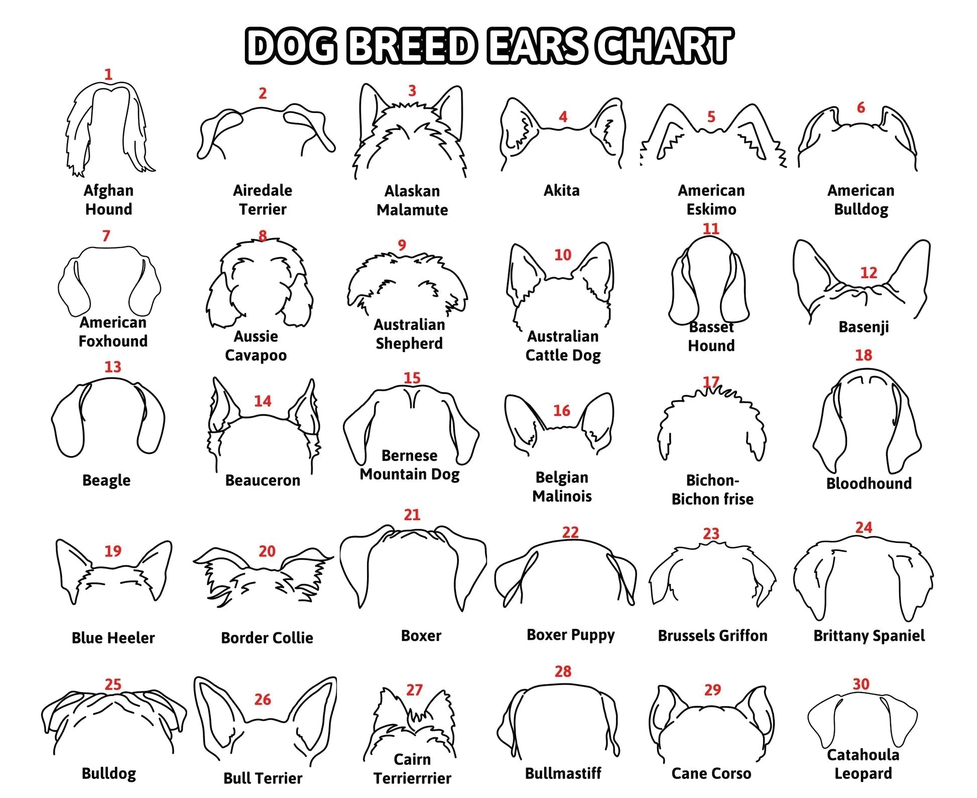 Personalized Selection Of Pet Ear Style Frames For Pet Lovers