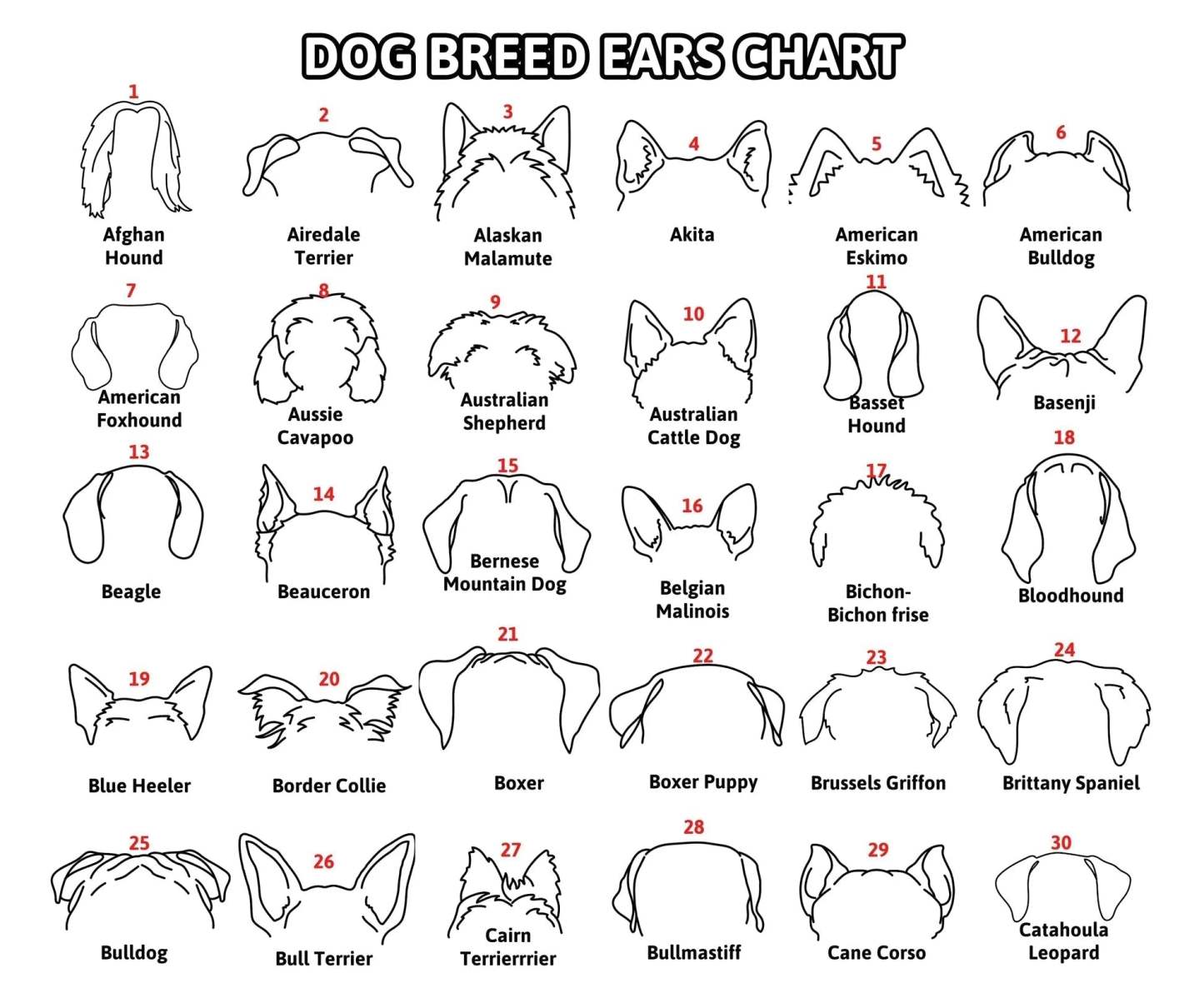 Personalized Selection Of Pet Ear Style Frames For Pet Lovers