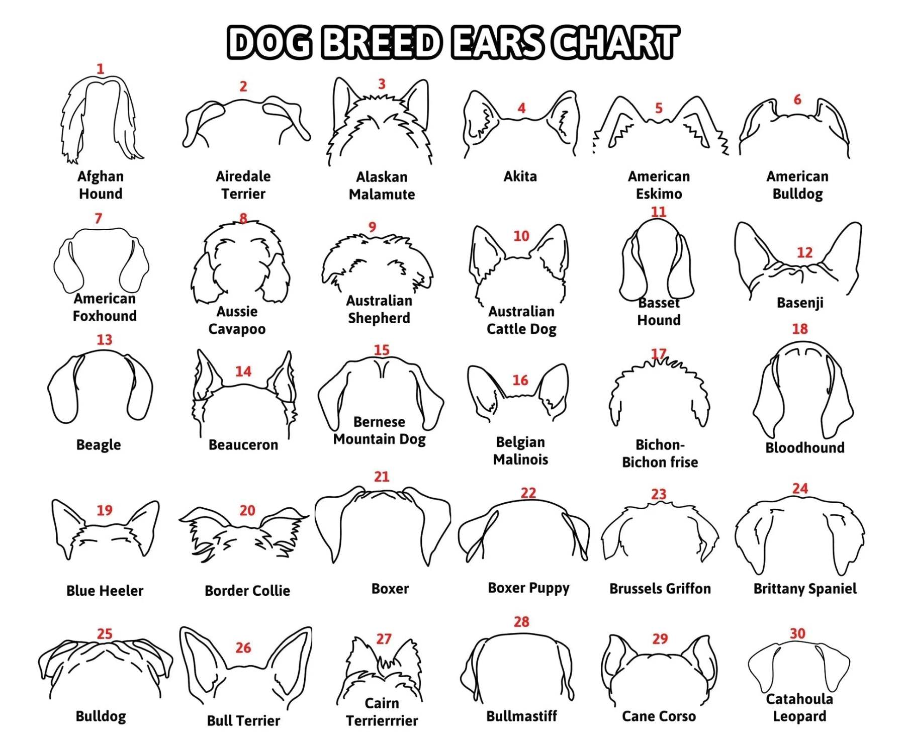 Personalized Selection Of Pet Ear Style Frames For Pet Lovers