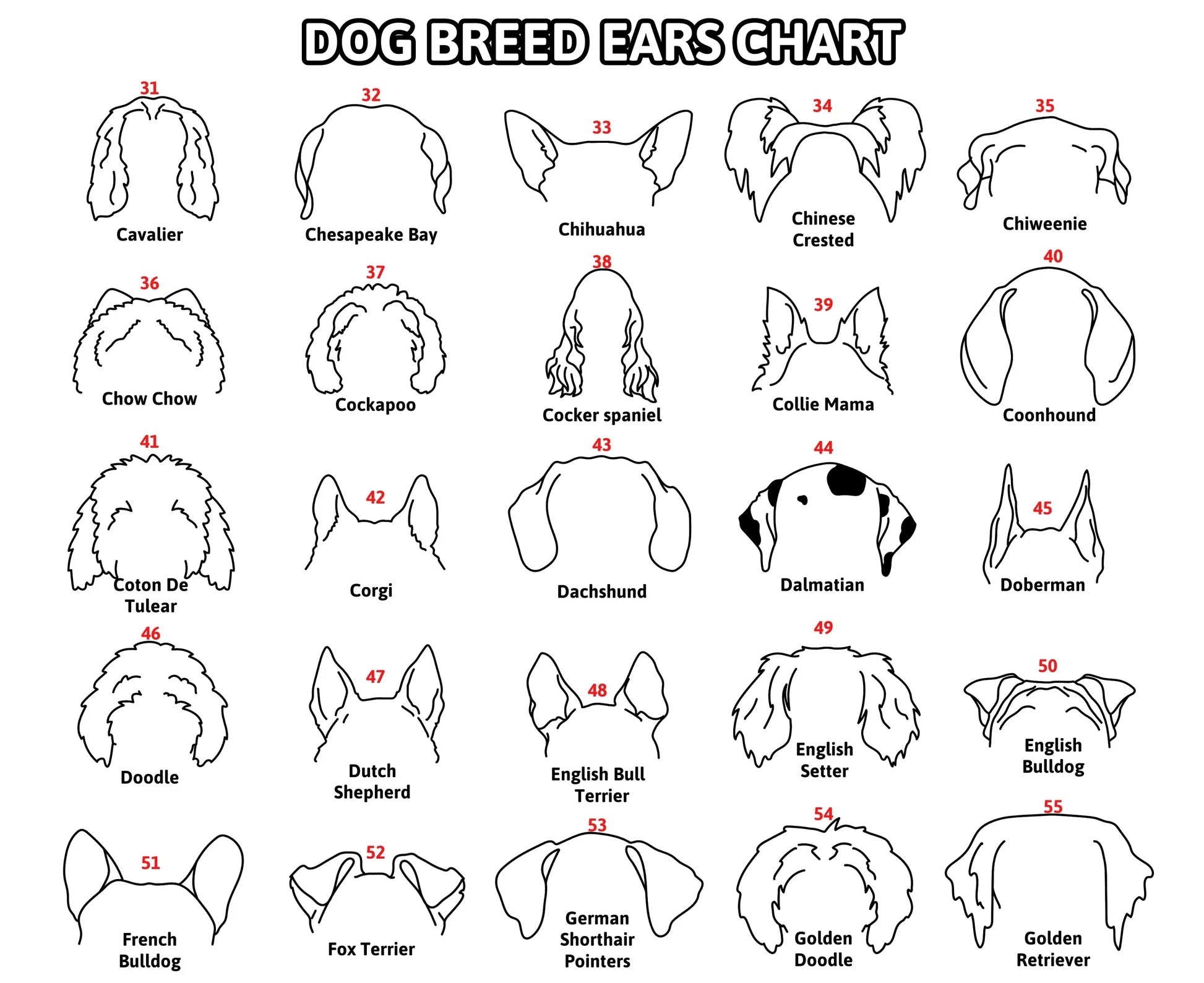 Personalized Selection Of Pet Ear Style Frames For Pet Lovers