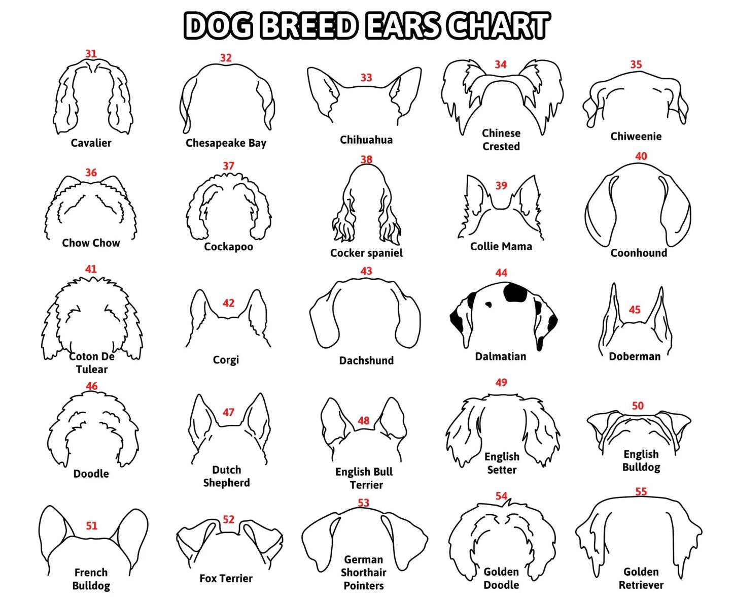 Personalized Selection Of Pet Ear Style Frames For Pet Lovers