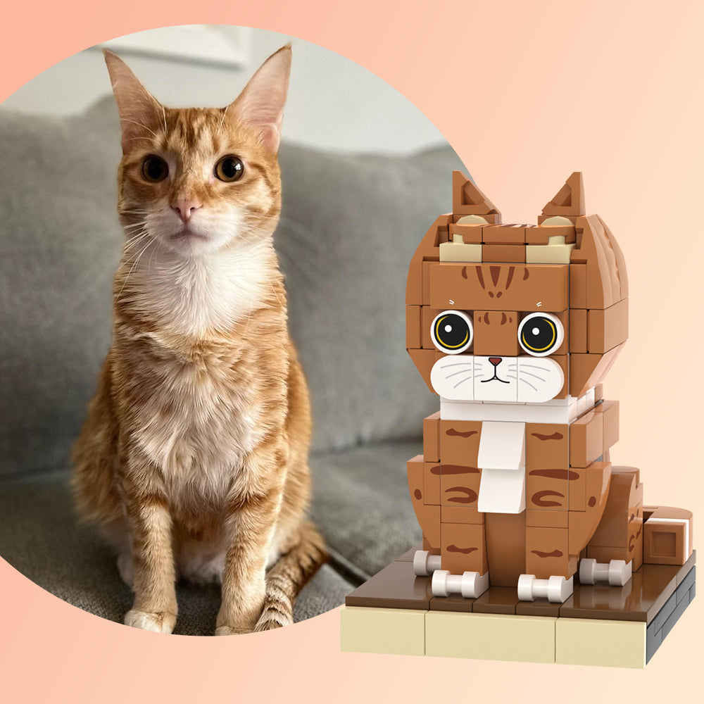 Custom Orange Cat Brick Figures Fully Body Customizable 1 Cat Photo Small Particle Block Customized Cat Only-Blongser