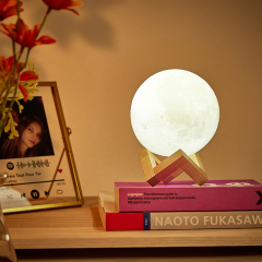 Custom 3D Printed Photo Lunar Light Moon Lamp-Blongser