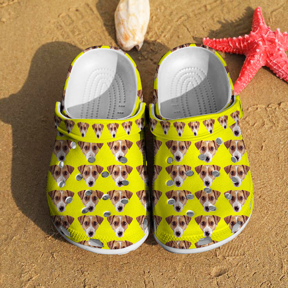 Personalized Funny Clog with Pet Face Clogs Slipper Birthday Gift for Pet Lover-Blongser