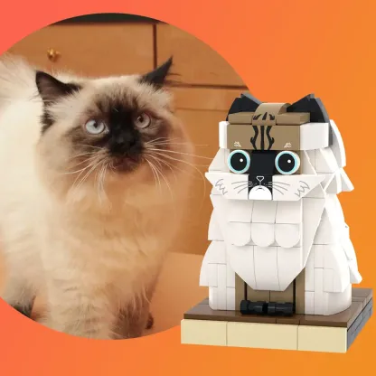 Custom Pet Brick Figure Fully Body Customizable 1 Cat Photo Brick Figures Customized Cat Only-Blongser