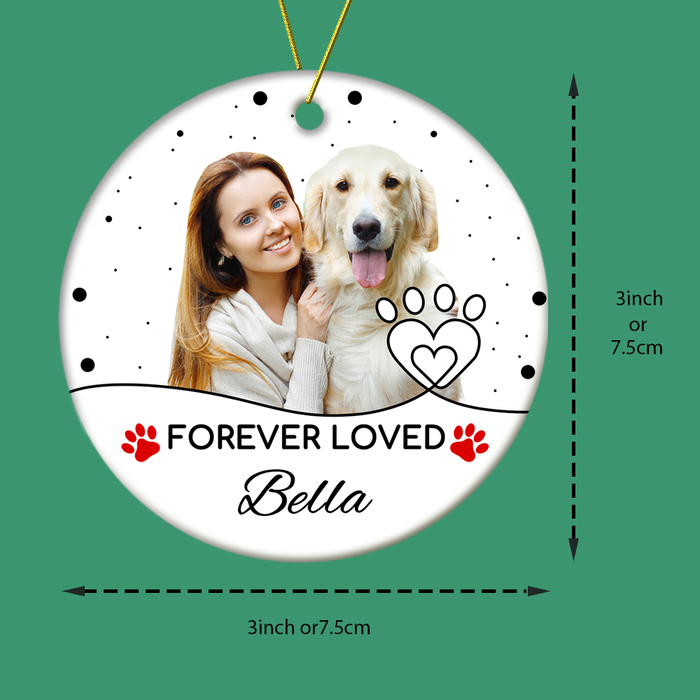 Personalized Pet Photo Ornament with Name Pet Loss Ornament Christmas Gift for Pet Owners-Blongser