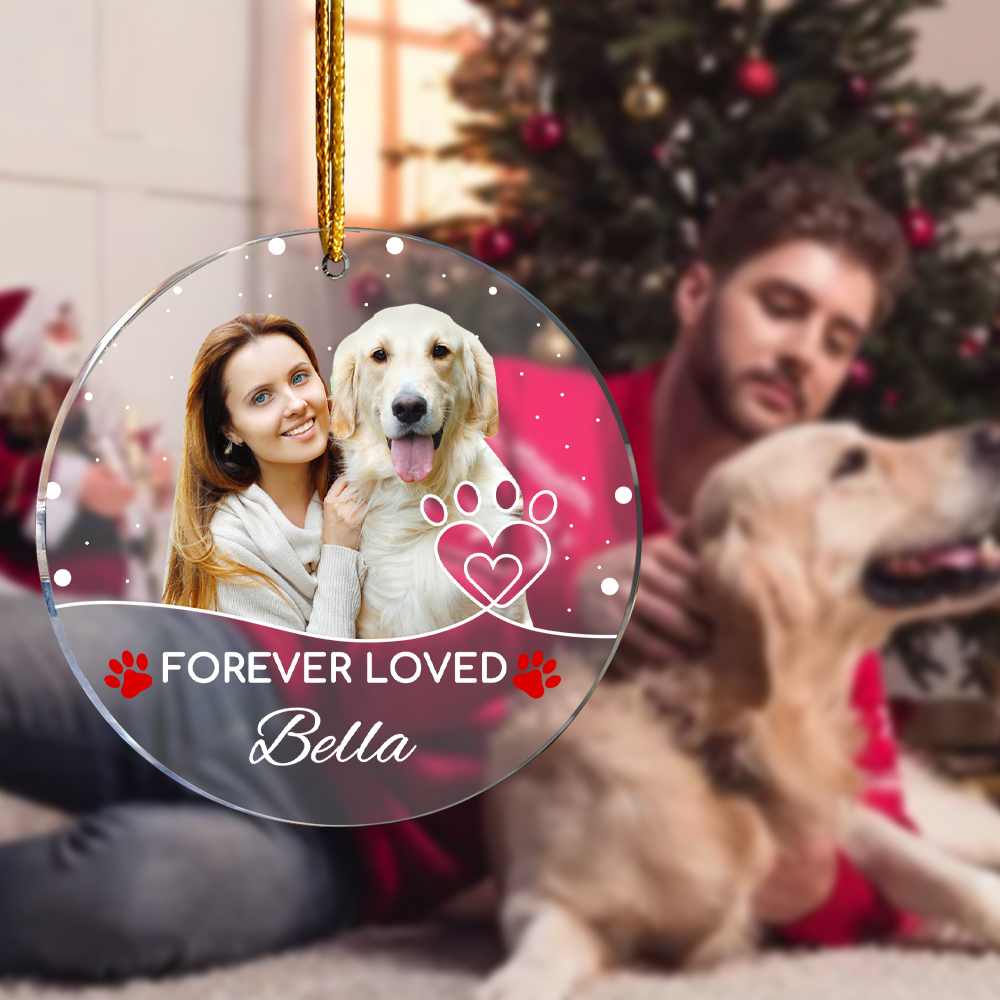 Personalized Pet Photo Ornament with Name Pet Loss Ornament Christmas Gift for Pet Owners-Blongser