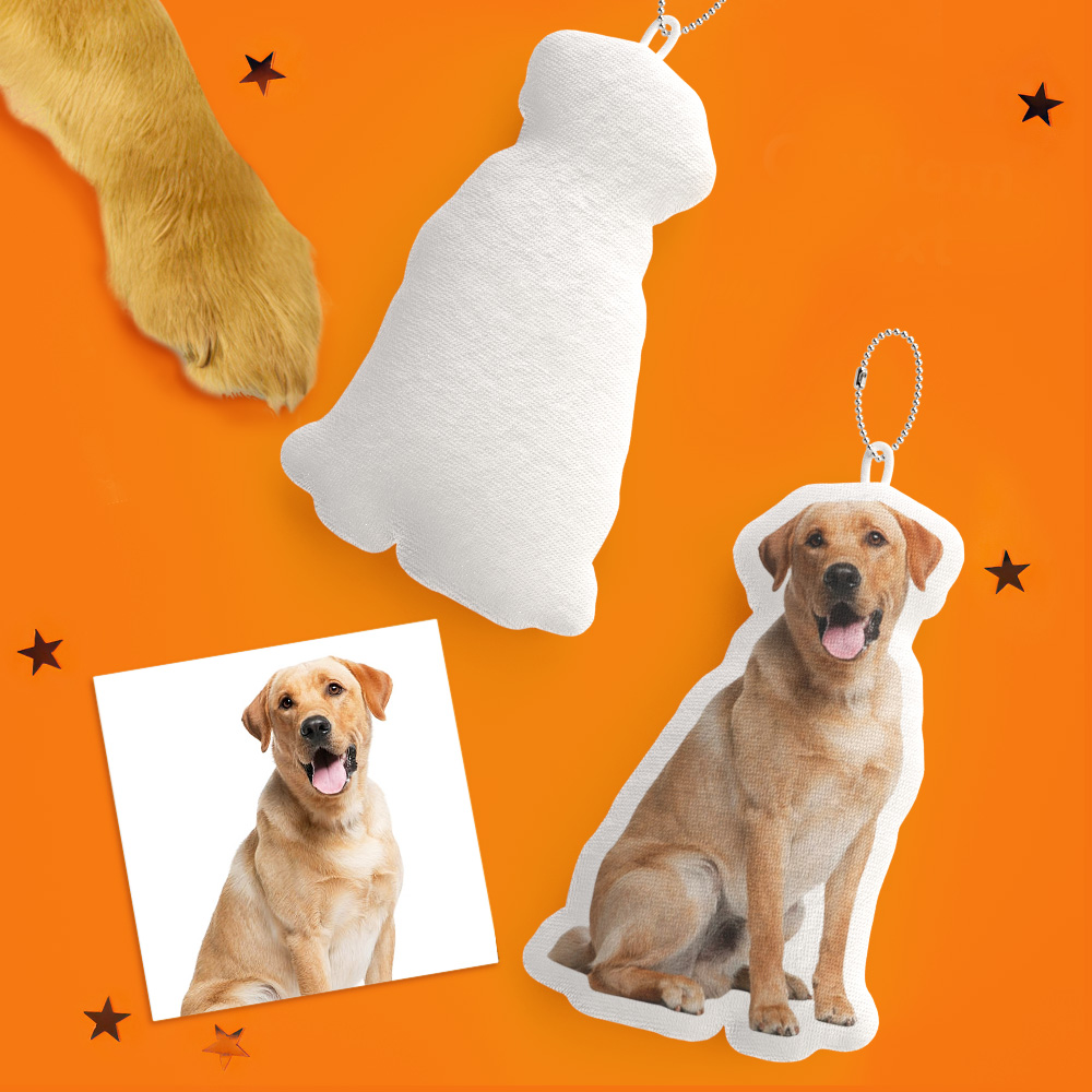 Custom Pet Pillow, Personalized Picture Pillow, Cat Shaped Pillow, Decorative Pillow, Pet Lover Gift, Home Decor-Blongser
