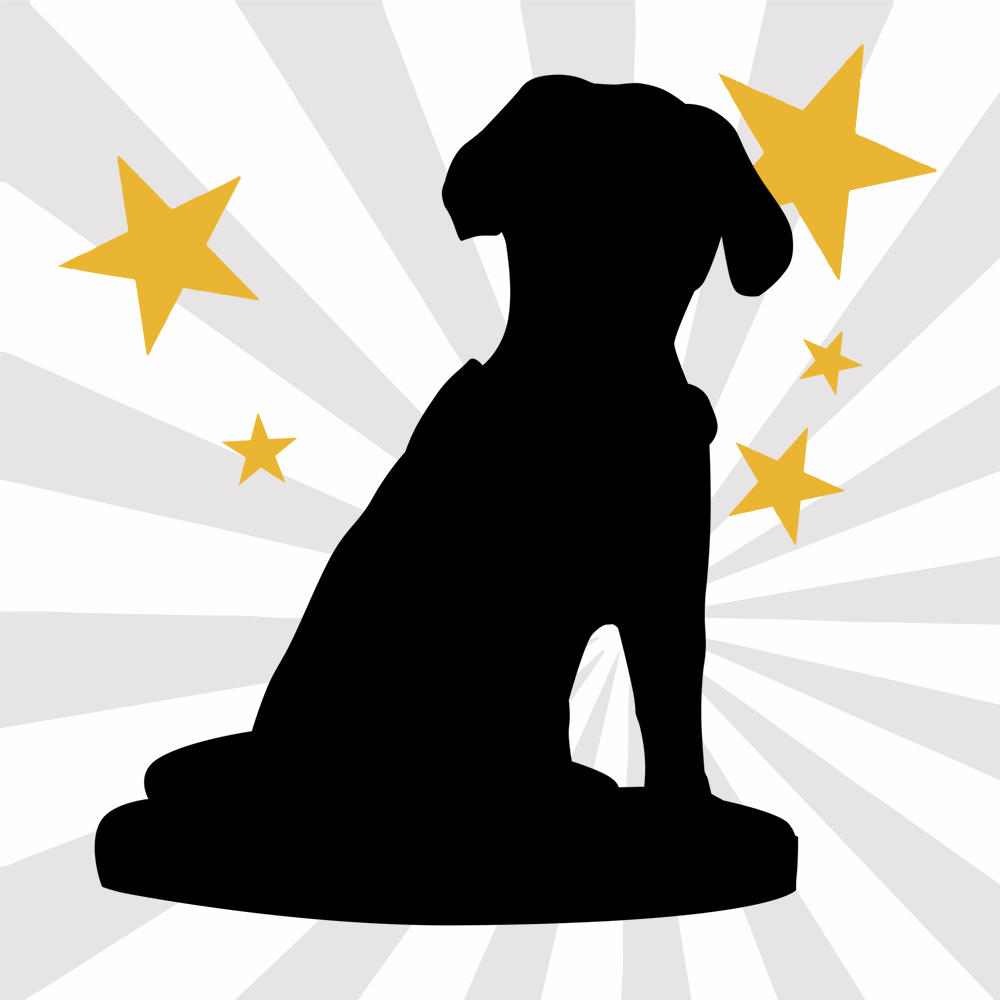 Fully Personalised 1 Animal/Pet Bobbleheads from Photo Stationary Head-Blongser