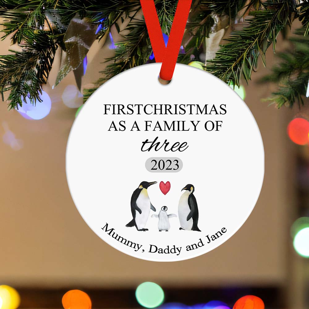 First Christmas Family Custom Name Ornament 2023 Christmas Gift-Blongser