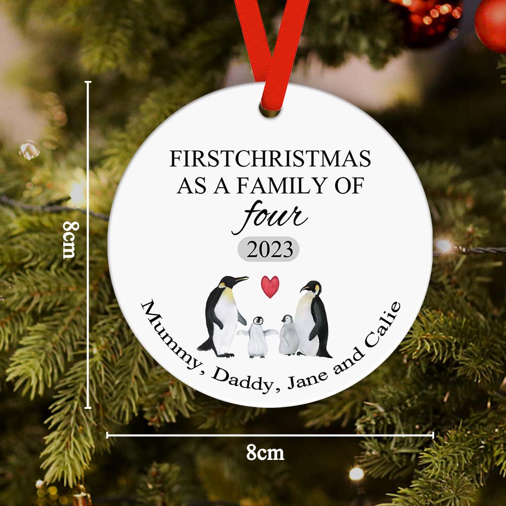 First Christmas Family Custom Name Ornament 2023 Christmas Gift-Blongser