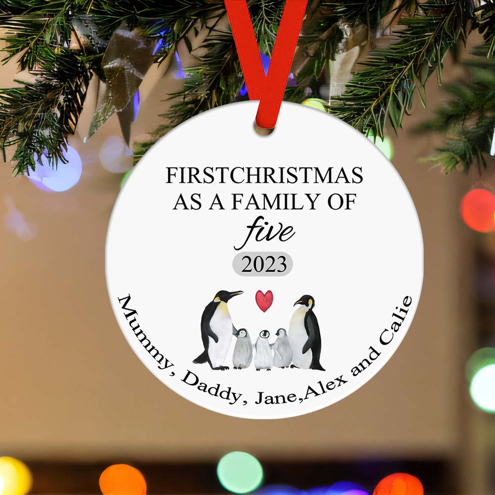 First Christmas Family Custom Name Ornament 2023 Christmas Gift-Blongser