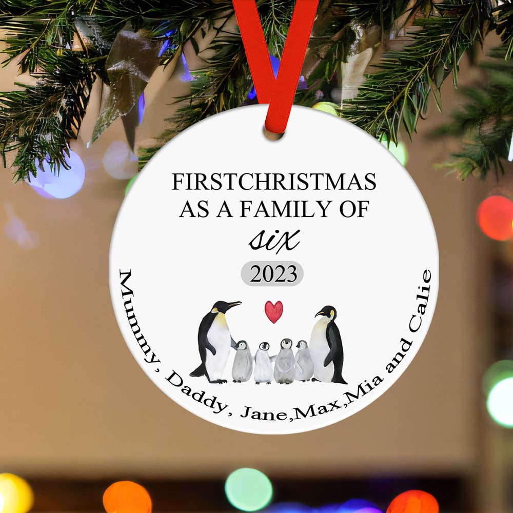 First Christmas Family Custom Name Ornament 2023 Christmas Gift-Blongser