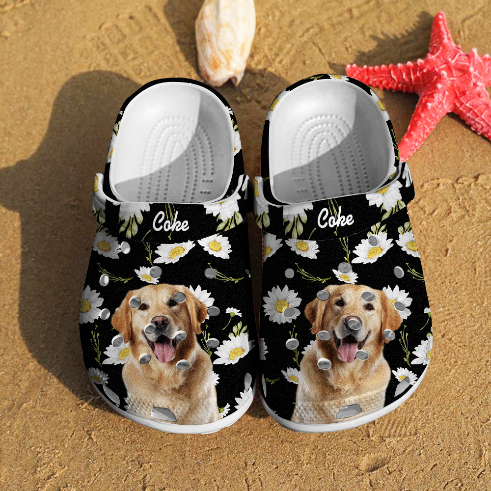 Personalized Pet Portrait Clog Funny Clogs Slipper Birthday Gift for Pet Lover-Blongser