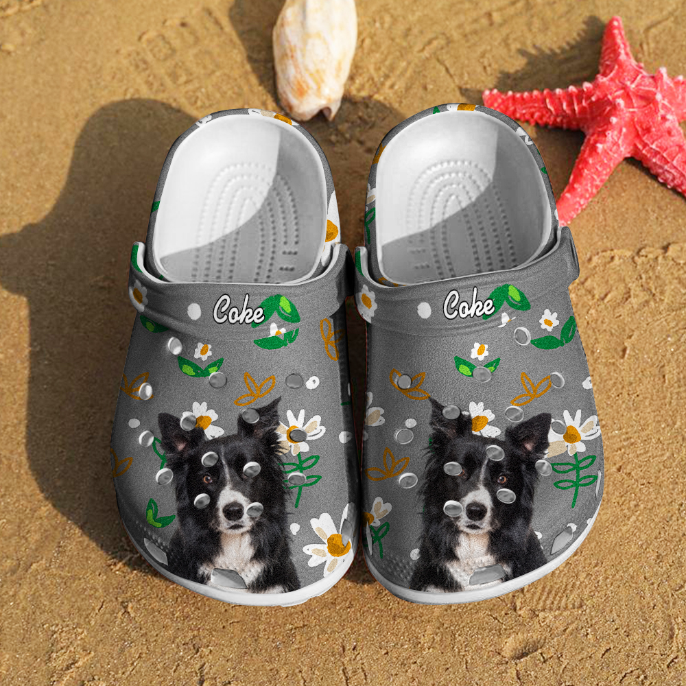 Personalized Pet Portrait Clogs Slipper with Name Funny Clog Birthday Gift for Pet Lover-Blongser
