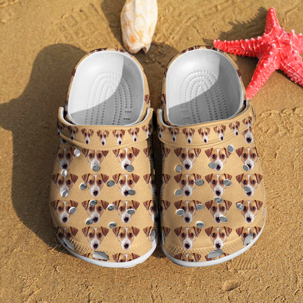 Personalized Funny Clog with Pet Face Clogs Slipper Birthday Gift for Pet Lover-Blongser