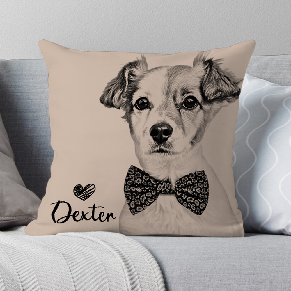 Custom Personalized Cat Dog Pillow , Personalized Dog Pillows Cases Cat Picture Pillow Pet Picture Pillow, Long Distance Relationship Gift-Blongser