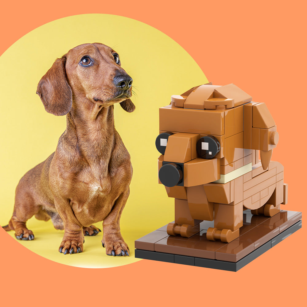 Fully Body Customizable Dachshund 1 Dog Photo Custom Brick Figures Small Particle Block Brick Me Figures Customized Dachshund Only-Blongser