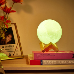 Custom 3D Printed Photo Lunar Light Moon Lamp-Blongser