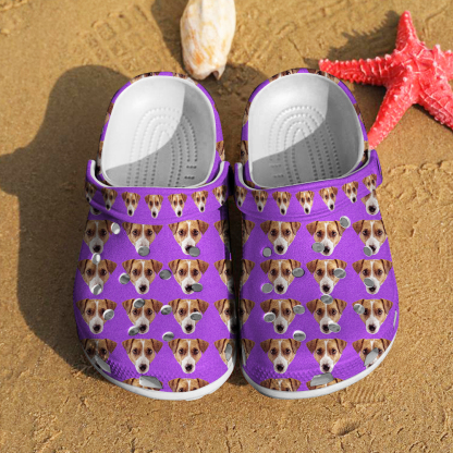 Personalized Funny Clog with Pet Face Clogs Slipper Birthday Gift for Pet Lover-Blongser