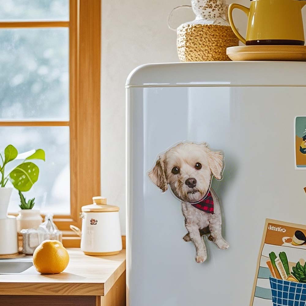 Personalized Refrigerator Magnet with Photo Pet Portrait Fridge Magnets Decal Home Decoration-Blongser