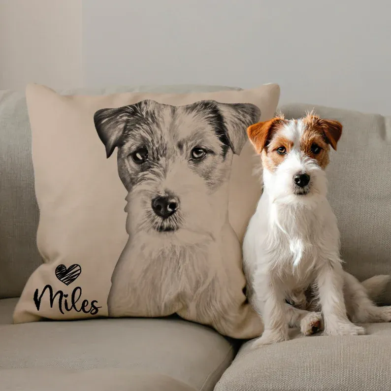 Custom Personalized Cat Dog Pillow , Personalized Dog Pillows Cases Cat Picture Pillow Pet Picture Pillow, Long Distance Relationship Gift-Blongser