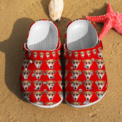 Personalized Funny Clog with Pet Face Clogs Slipper Birthday Gift for Pet Lover-Blongser