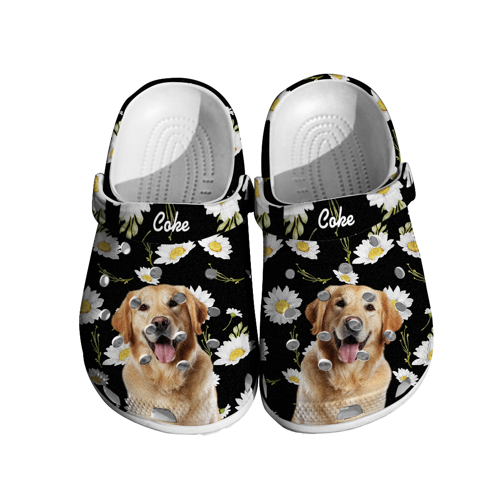 Personalized Pet Portrait Clog Funny Clogs Slipper Birthday Gift for Pet Lover-Blongser