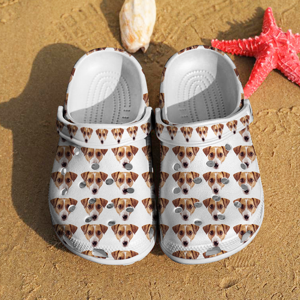 Personalized Funny Clog with Pet Face Clogs Slipper Birthday Gift for Pet Lover-Blongser