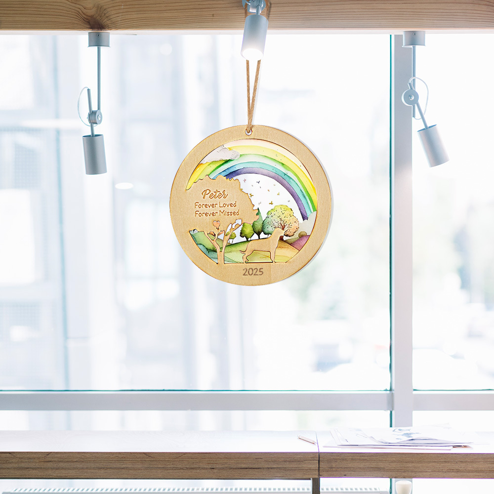 Personalized Rainbow Bridge Pet Ornament Memorial Pet Loss Gift for Pet Lovers-Blongser