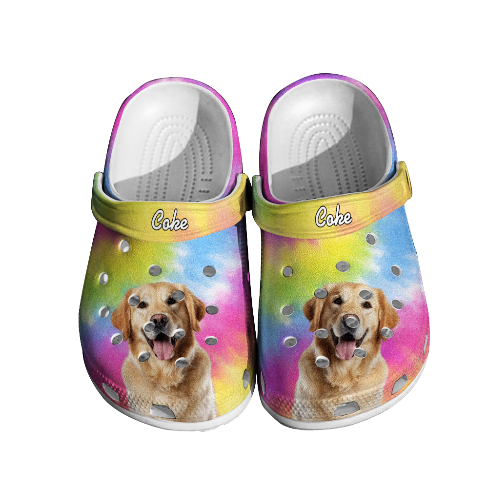 Personalized Pet Face Clog Funny Colorful Clogs Slipper Birthday Gift for Pet Lover-Blongser