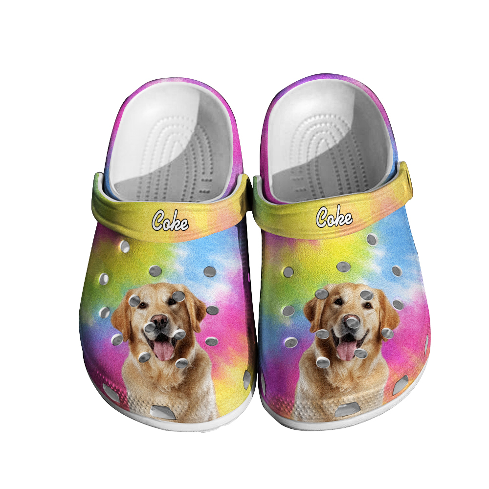 Personalized Pet Face Clog Funny Colorful Clogs Slipper Birthday Gift for Pet Lover-Blongser