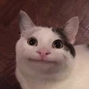 狗