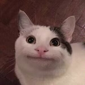 狗