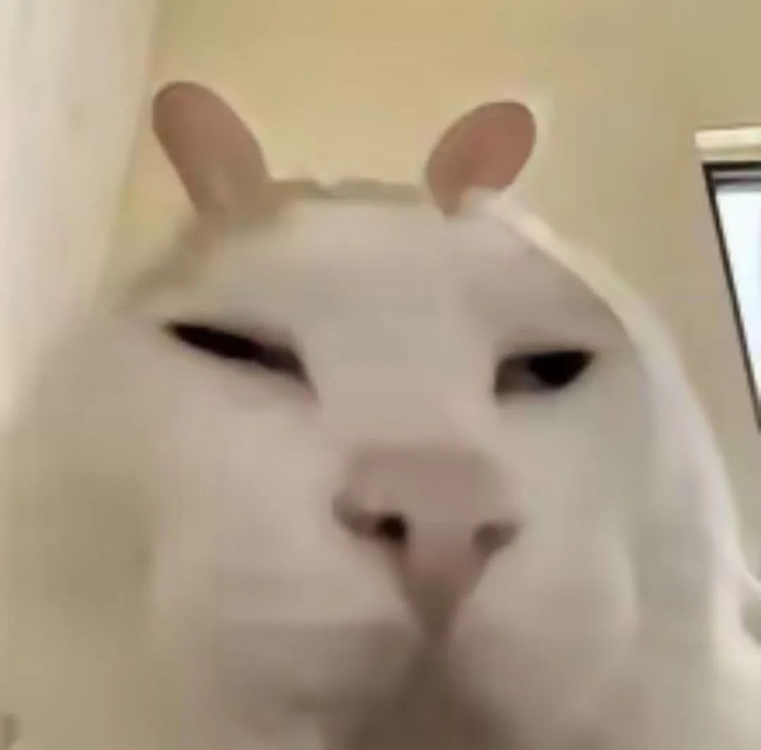狗