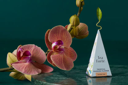 Presentation Box Wellbeing