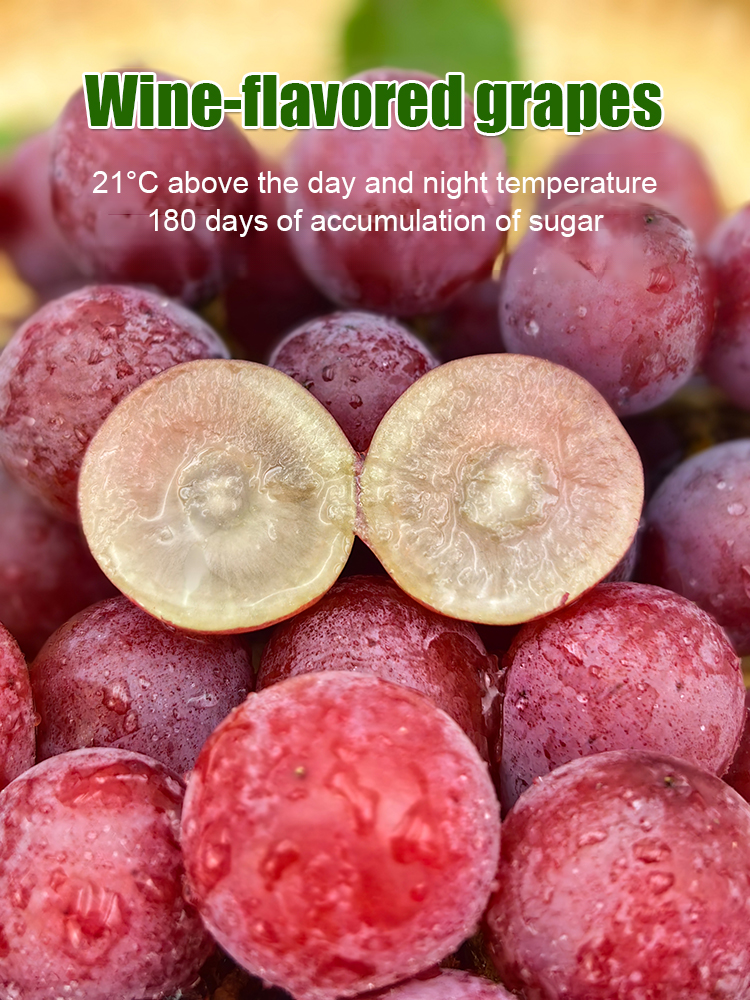 【Naturally Aromatic】Queen Nina Grape Seeds
