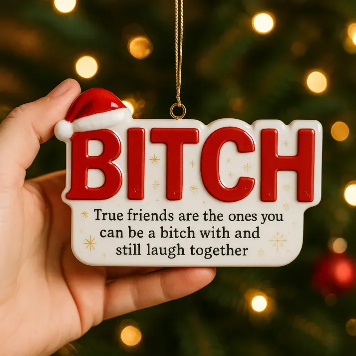 Funny Friendship Christmas Ornament